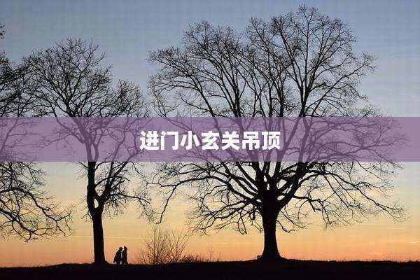 进门小玄关吊顶