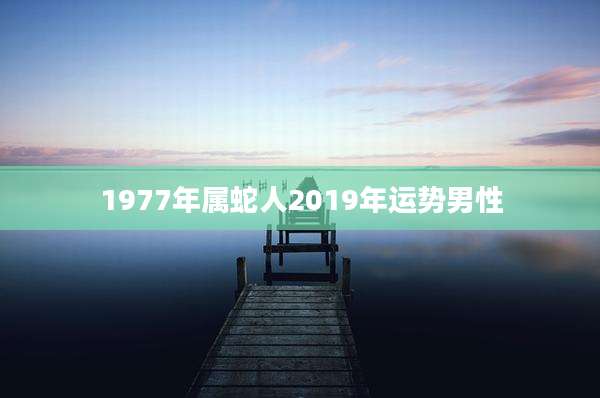 1977年属蛇人2019年运势男性