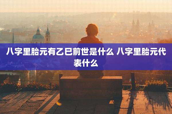 八字里胎元有乙巳前世是什么 八字里胎元代表什么