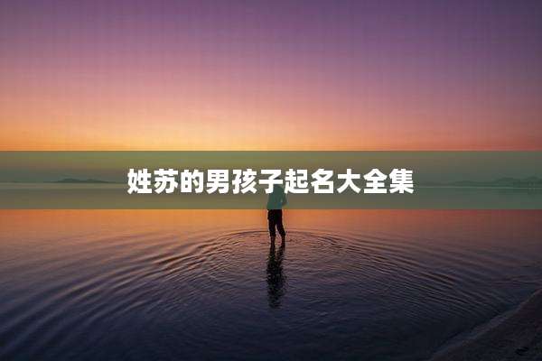 姓苏的男孩子起名大全集