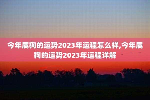 今年属狗的运势2023年运程怎么样,今年属狗的运势2023年运程详解
