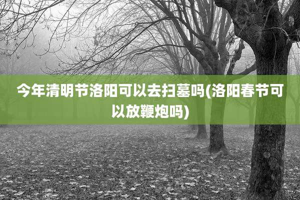今年清明节洛阳可以去扫墓吗(洛阳春节可以放鞭炮吗)