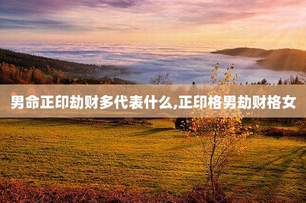 男命正印劫财多代表什么,正印格男劫财格女