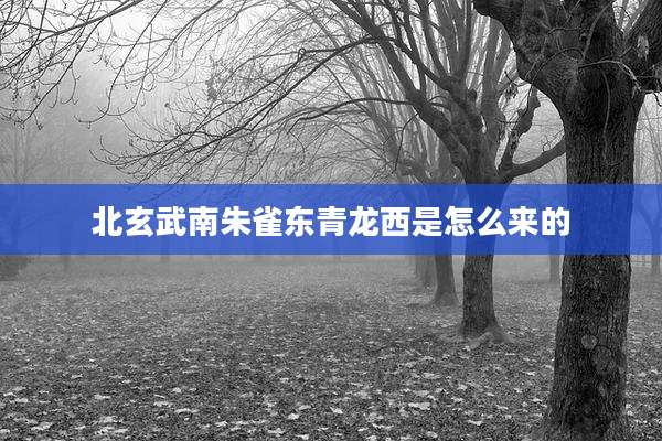 北玄武南朱雀东青龙西是怎么来的