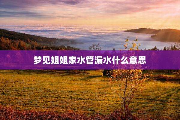 梦见姐姐家水管漏水什么意思