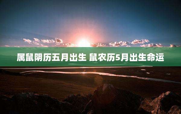 属鼠阴历五月出生 鼠农历5月出生命运