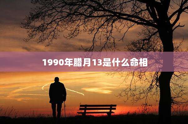1990年腊月13是什么命相