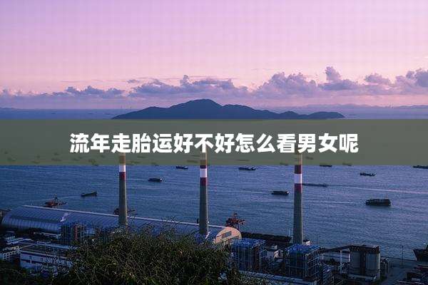 流年走胎运好不好怎么看男女呢