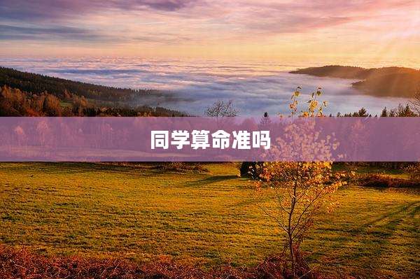 同学算命准吗