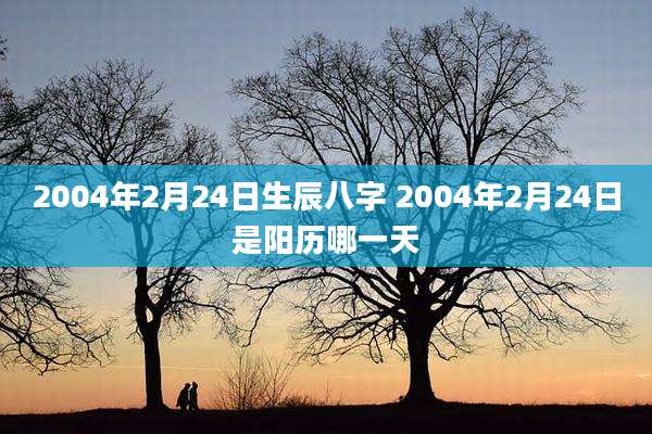 2004年2月24日生辰八字 2004年2月24日是阳历哪一天