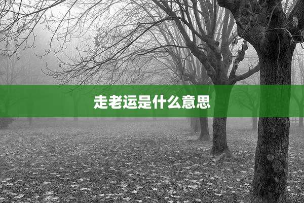走老运是什么意思