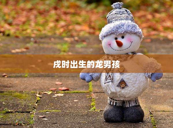 戌时出生的龙男孩