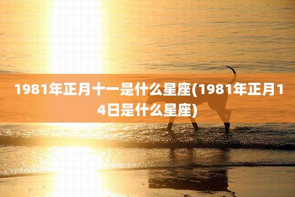 1981年正月十一是什么星座(1981年正月14日是什么星座)
