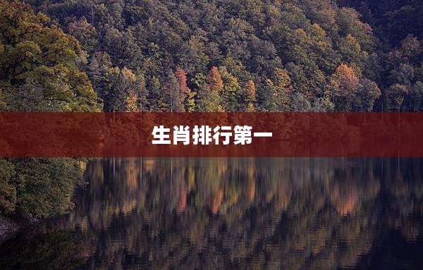 生肖排行第一