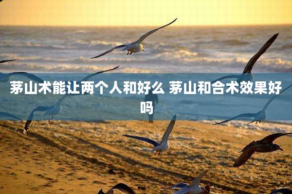 茅山术能让两个人和好么 茅山和合术效果好吗
