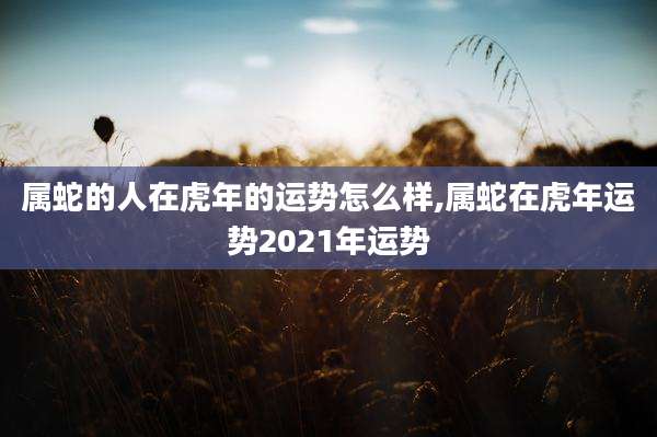 属蛇的人在虎年的运势怎么样,属蛇在虎年运势2021年运势