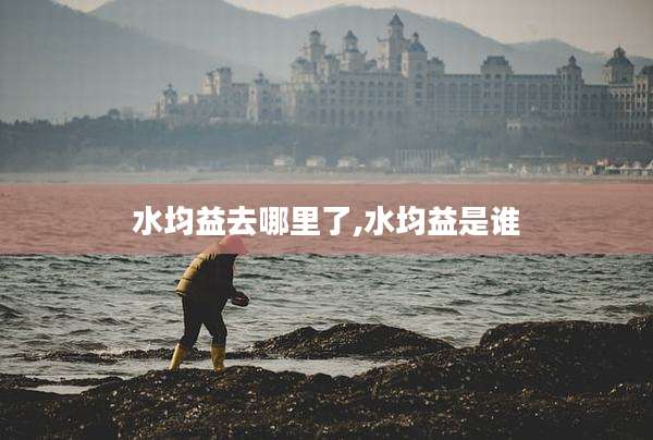 水均益去哪里了,水均益是谁