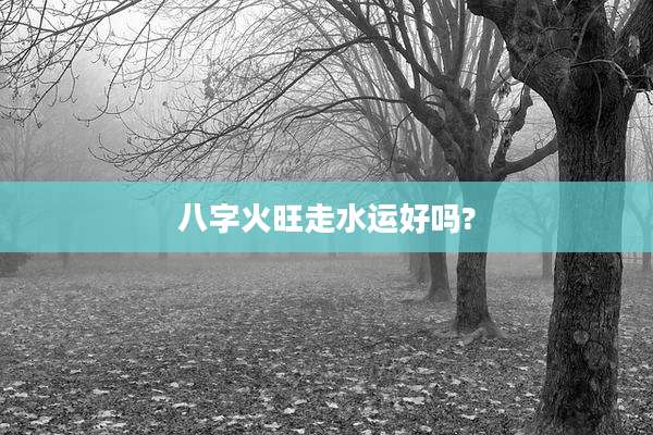 八字火旺走水运好吗?