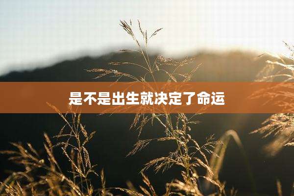 是不是出生就决定了命运