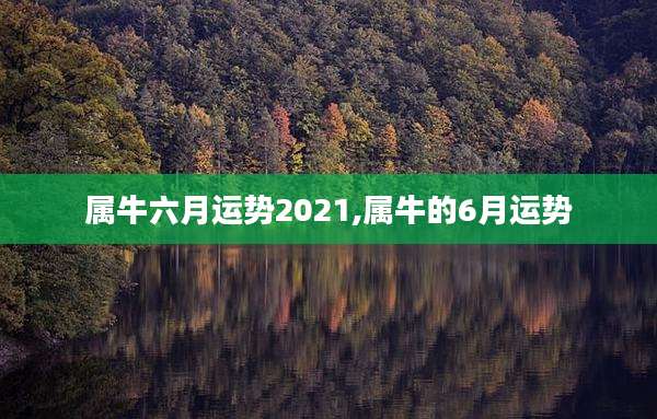 属牛六月运势2021,属牛的6月运势