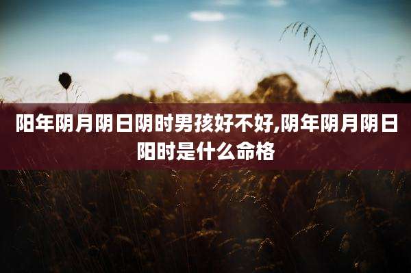 阳年阴月阴日阴时男孩好不好,阴年阴月阴日阳时是什么命格