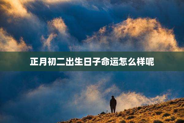 正月初二出生日子命运怎么样呢