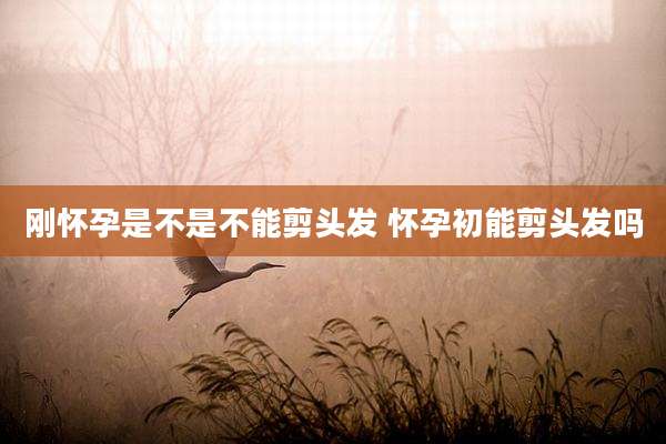 刚怀孕是不是不能剪头发 怀孕初能剪头发吗