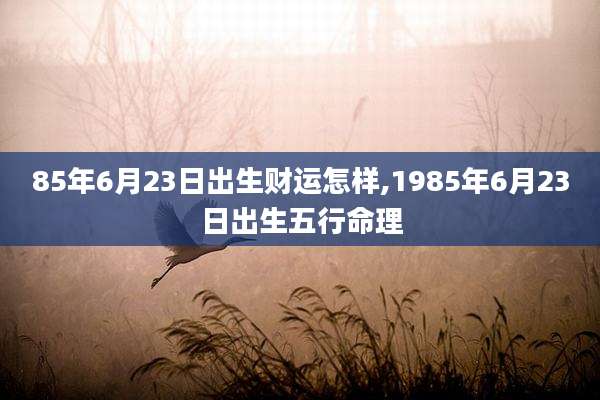 85年6月23日出生财运怎样,1985年6月23日出生五行命理