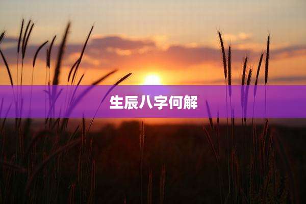 生辰八字何解