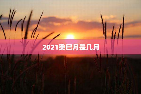2021癸巳月是几月