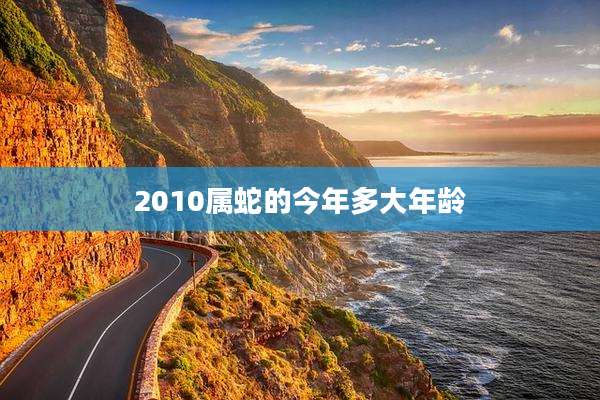2010属蛇的今年多大年龄