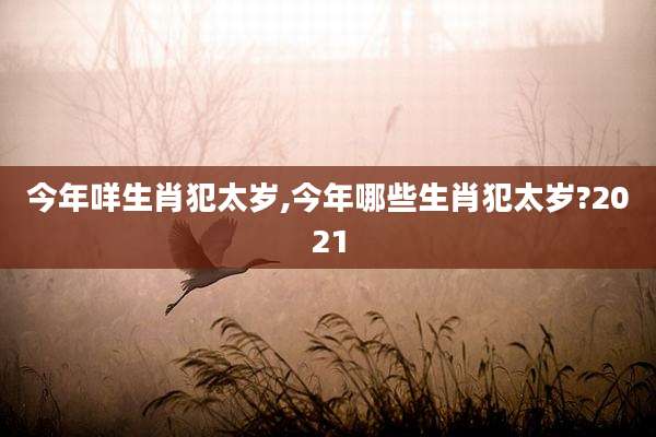 今年咩生肖犯太岁,今年哪些生肖犯太岁?2021