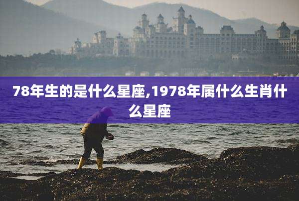78年生的是什么星座,1978年属什么生肖什么星座