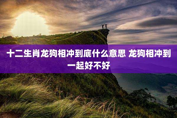 十二生肖龙狗相冲到底什么意思 龙狗相冲到一起好不好