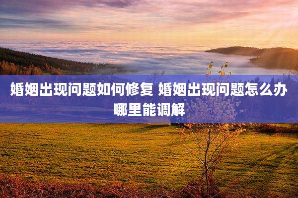 婚姻出现问题如何修复 婚姻出现问题怎么办哪里能调解