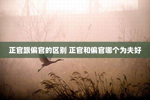 正官跟偏官的区别 正官和偏官哪个为夫好