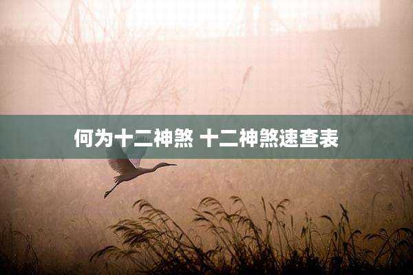 何为十二神煞 十二神煞速查表