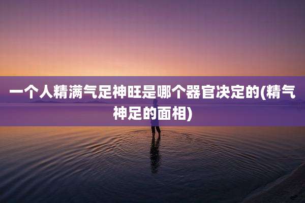 一个人精满气足神旺是哪个器官决定的(精气神足的面相)