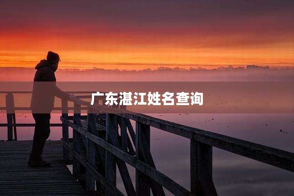 广东湛江姓名查询