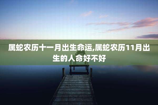 属蛇农历十一月出生命运,属蛇农历11月出生的人命好不好