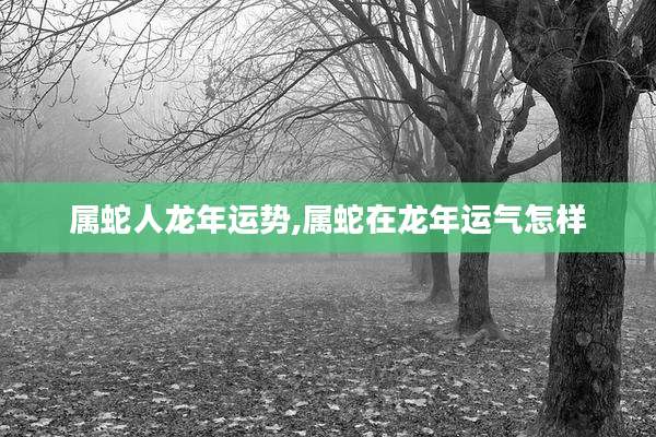 属蛇人龙年运势,属蛇在龙年运气怎样