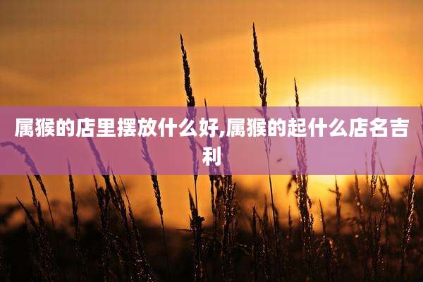 属猴的店里摆放什么好,属猴的起什么店名吉利