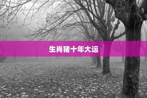 生肖猪十年大运