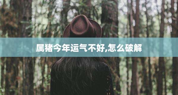 属猪今年运气不好,怎么破解