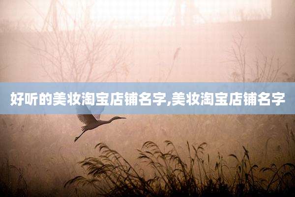 好听的美妆淘宝店铺名字,美妆淘宝店铺名字