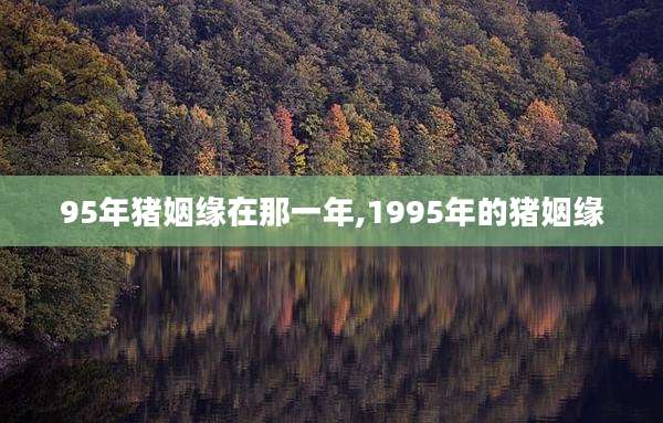 95年猪姻缘在那一年,1995年的猪姻缘