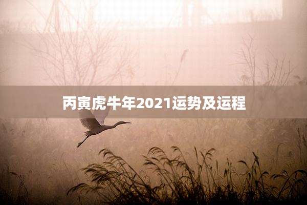 丙寅虎牛年2021运势及运程