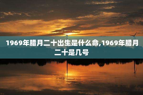 1969年腊月二十出生是什么命,1969年腊月二十是几号