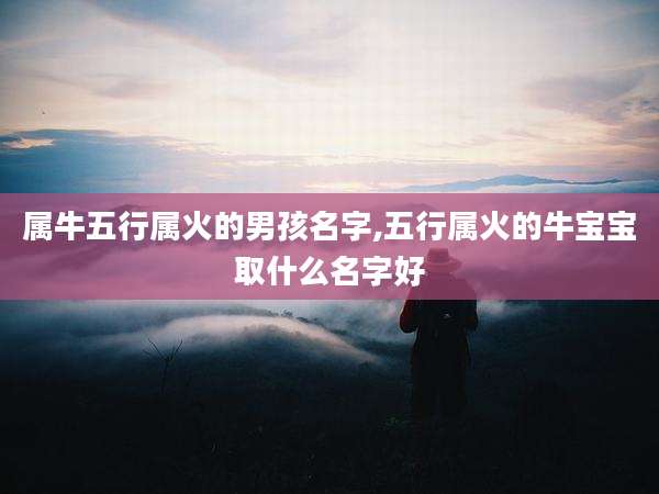 属牛五行属火的男孩名字,五行属火的牛宝宝取什么名字好