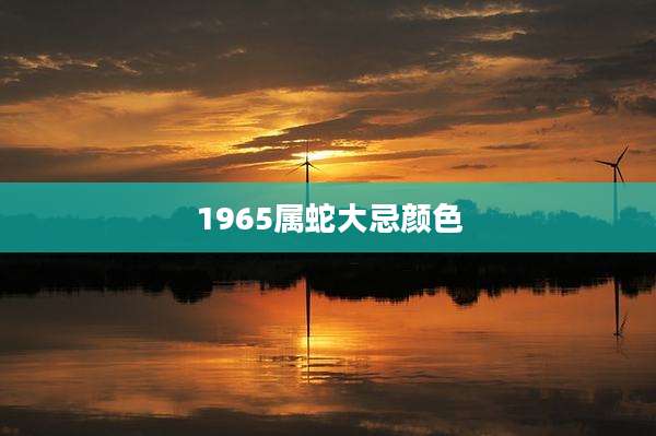 1965属蛇大忌颜色